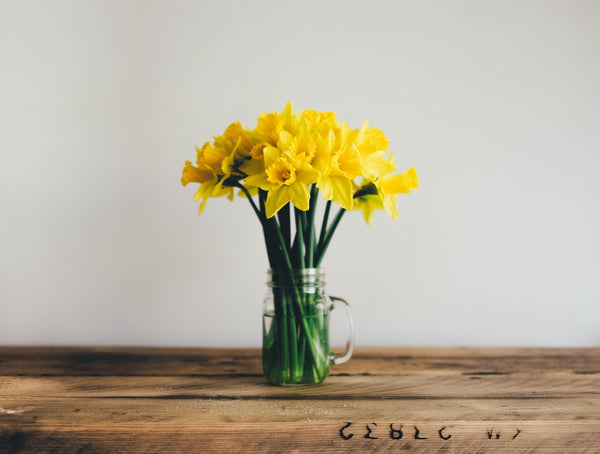 Spring Wellness Tips