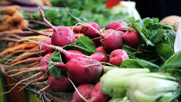 What’s In Season Now?