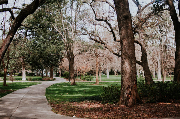 Eight Tips For Spending More Time Outside