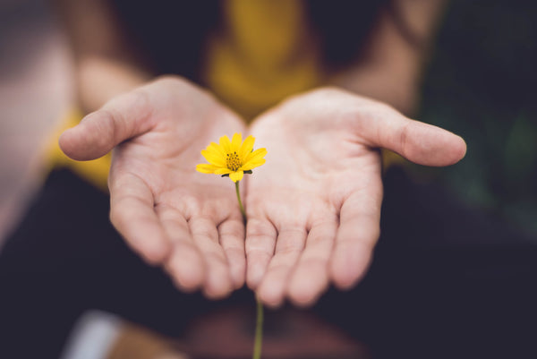 Mindful Mondays: Living In The Now